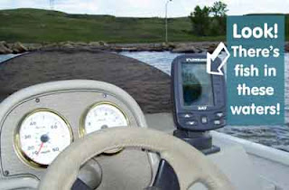 Here's evidence: there's lots of fish in these waters!