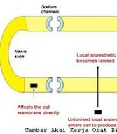 kerja anestesia lokal