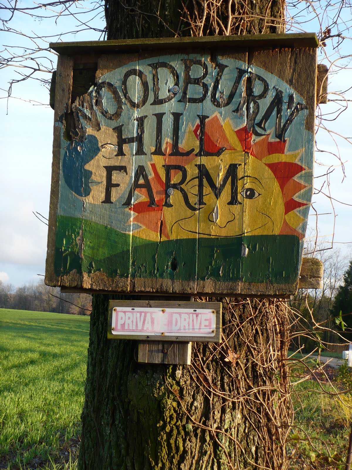 Mary and Keith's Excellent Adventure! Images From Woodburn Hill Farm