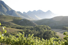 Chardonnay pick 2009