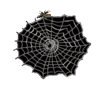 [aranha.gif]