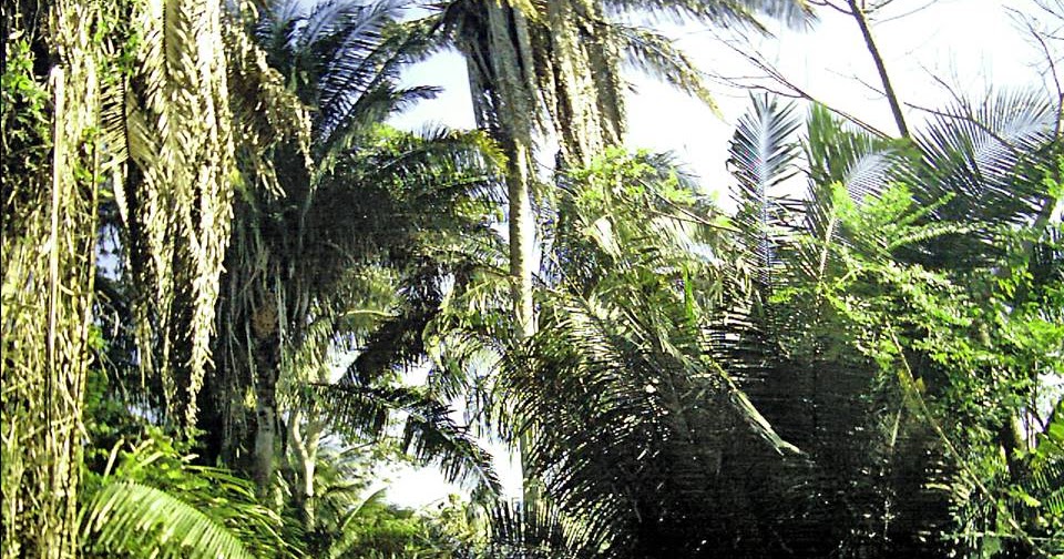 Enciclopedia de Historia Local CASERIOS DEL MUNICIPIO CAJIGAL