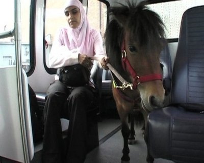 [Hala+Guide+Ponies.jpg]