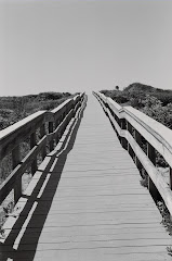 Fire Island Boardwalk