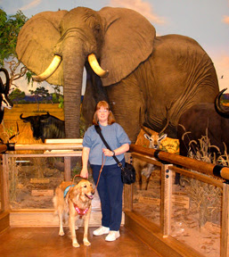photo of Sophie and me in front of the huge elephant