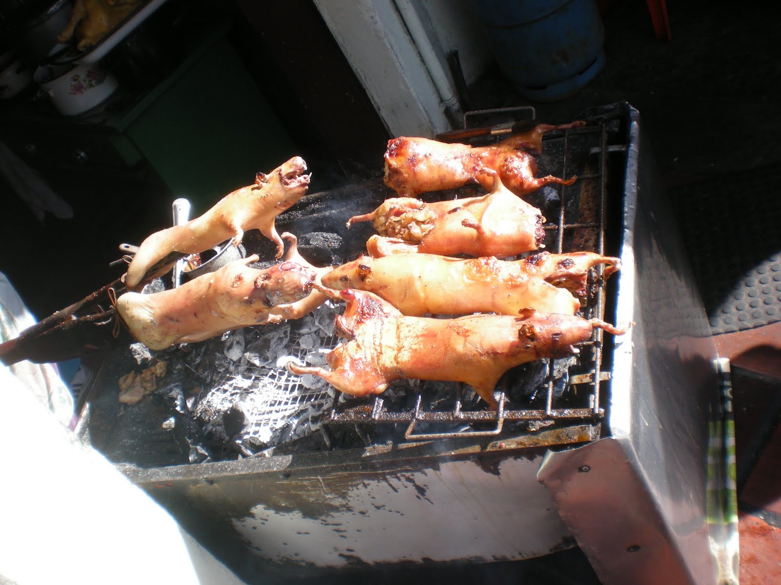 grilled guinea pig