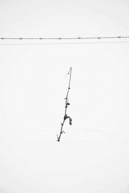 l'hivertad