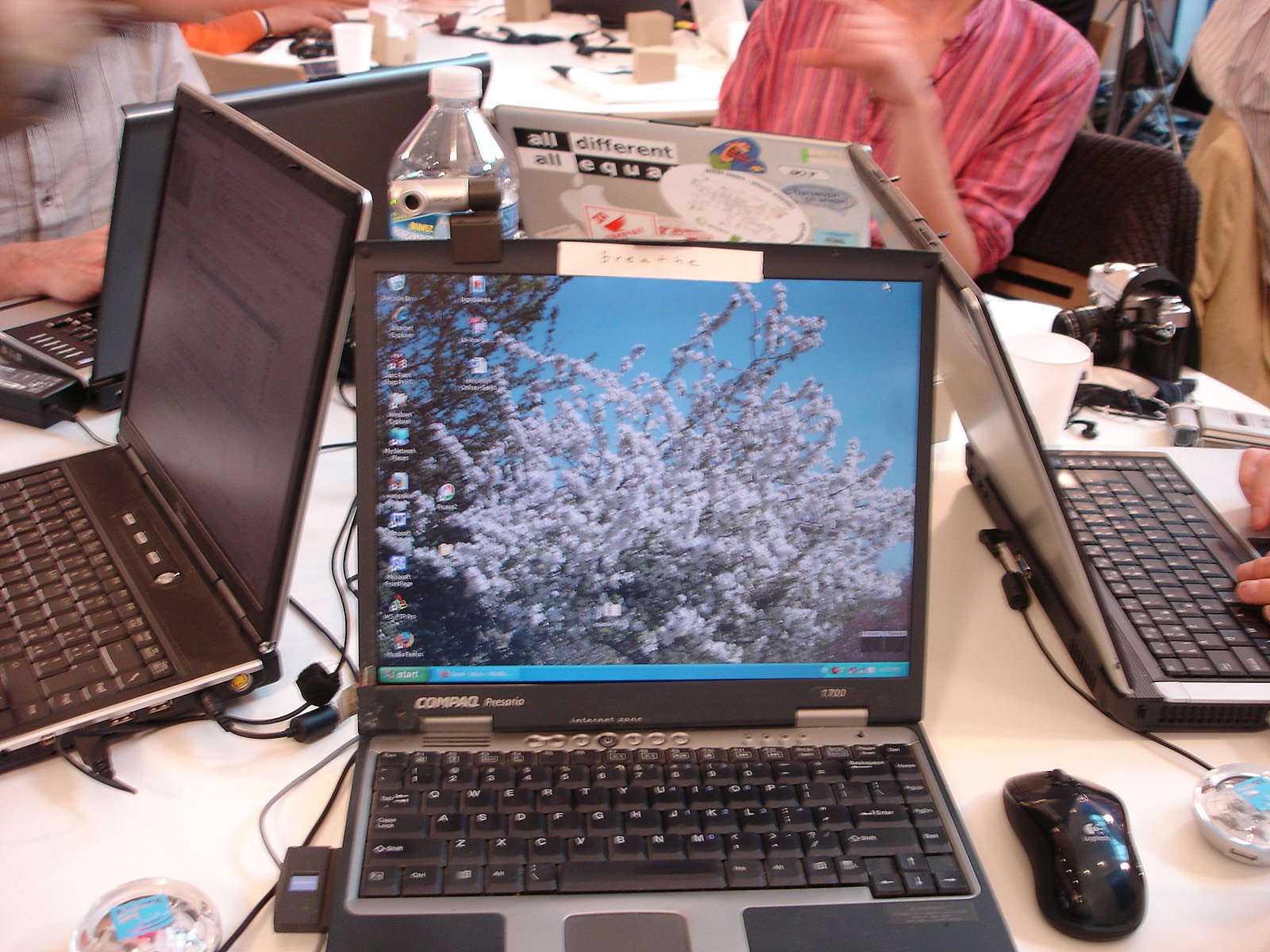 [DSC08171.JPG]