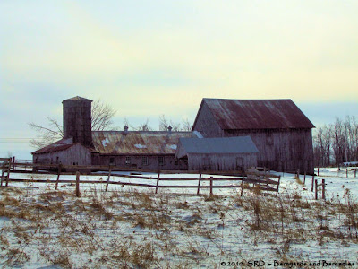 bear swamp
