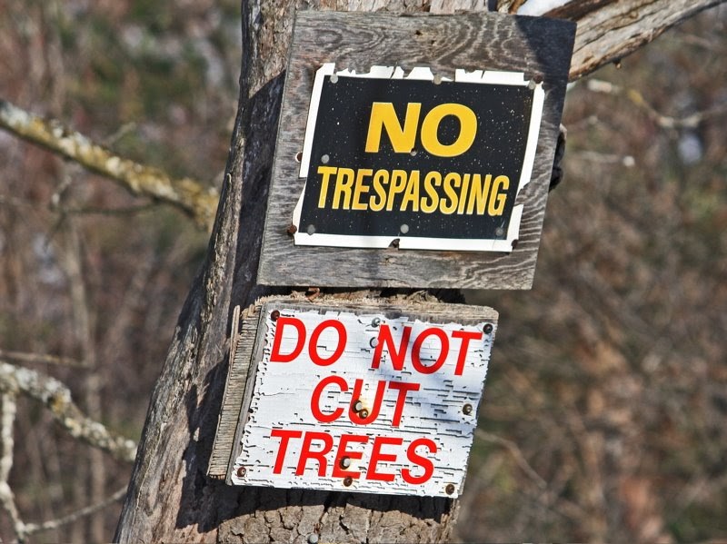 East Gwillimbury CameraGirl Do Not Cut