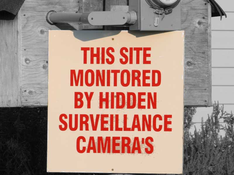 East Gwillimbury CameraGirl January 2009