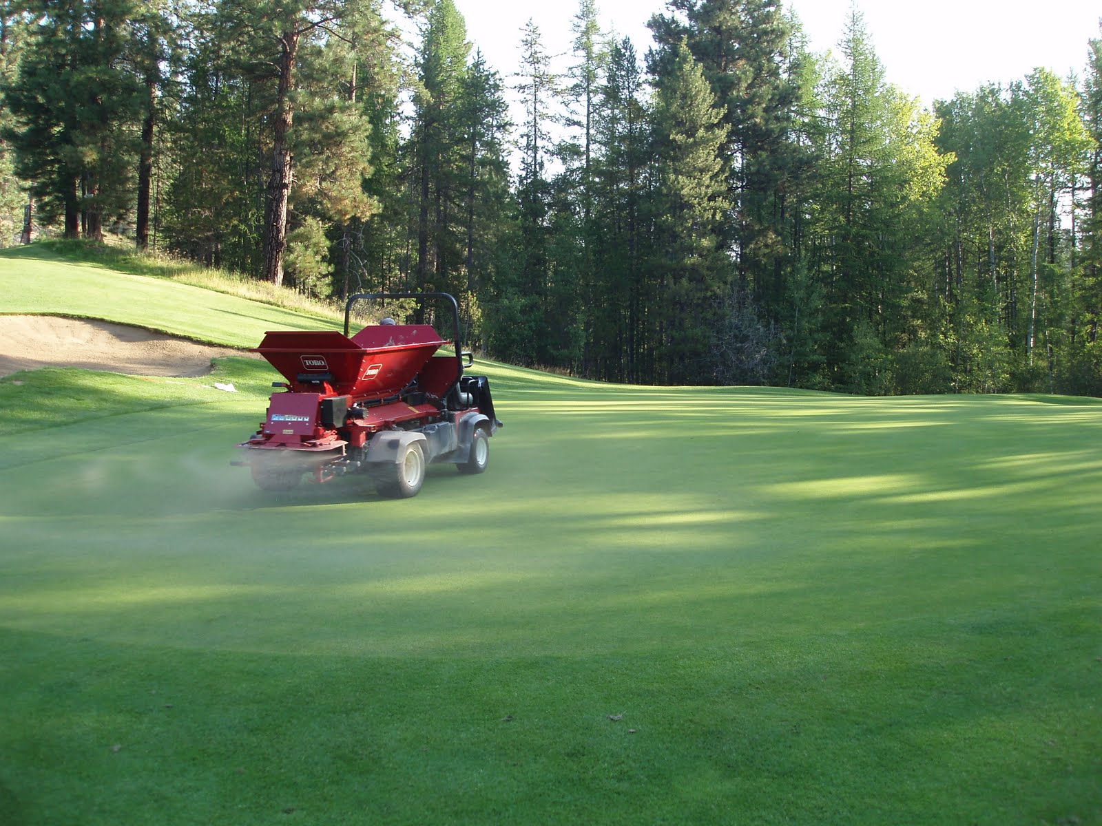 The Benefits of Top Dressing dalewatamaniuk