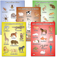 ANIMALS VOCABULARY