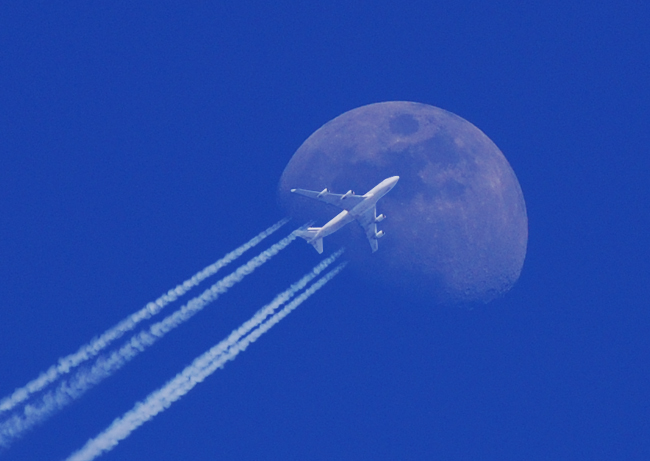 [vuelo+a+la+luna.jpg]