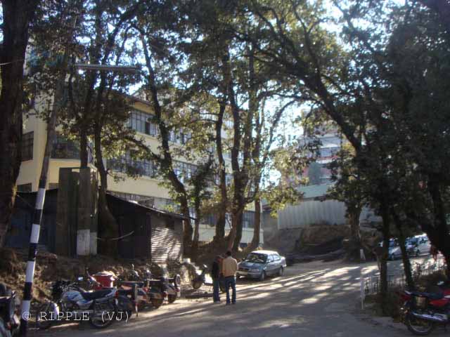 Himachal Pradesh University