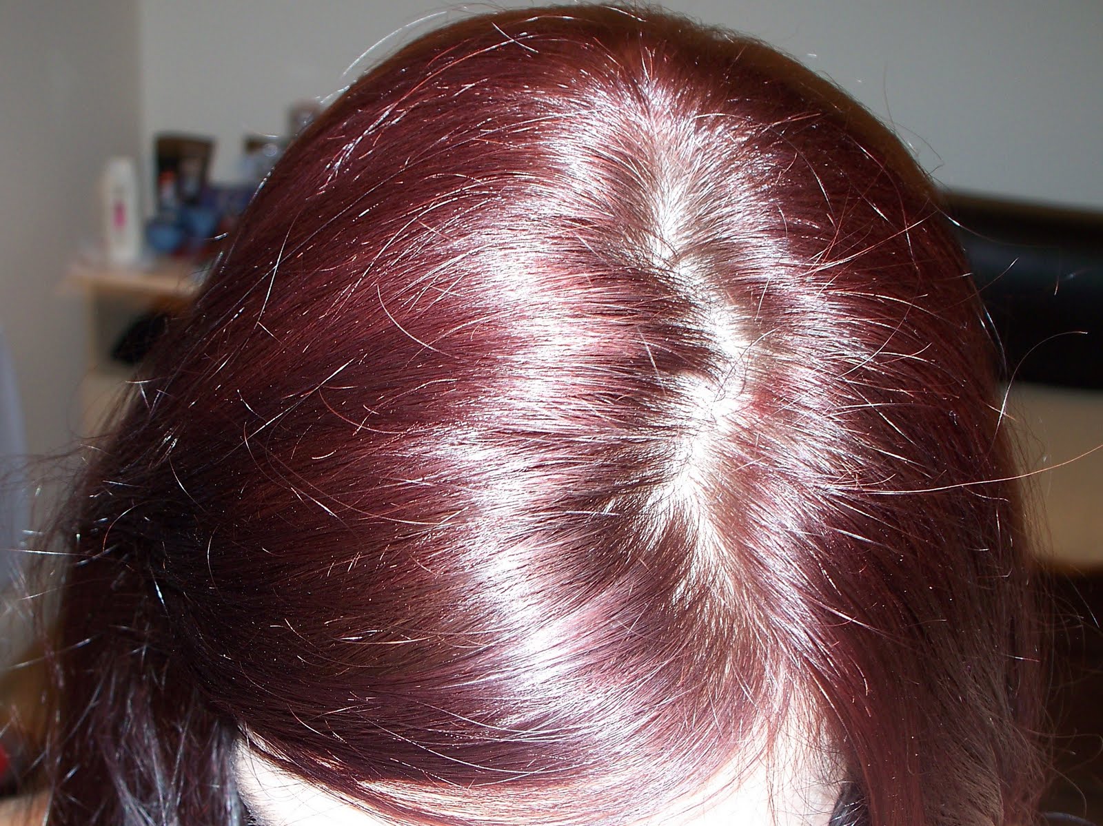 XXL Live Hair Dye Results