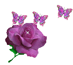 Rosas y Mariposas