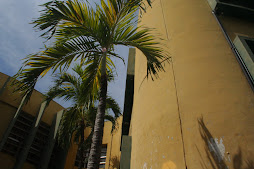 Campus FMO-UES