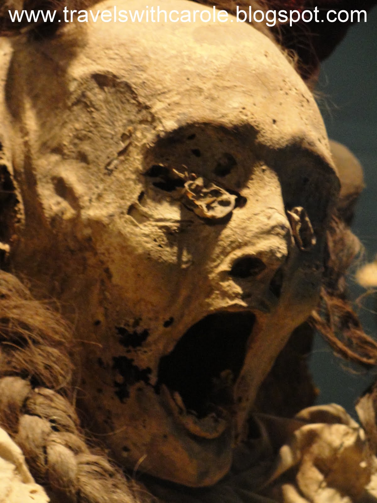 [Guanajuato-MummyMuseum-Head1-watermark.JPG]