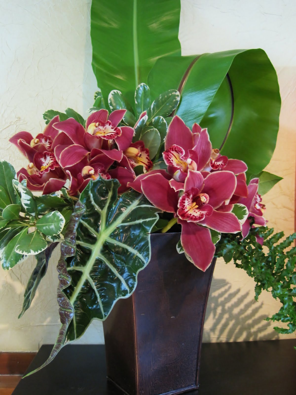 BOUTIQUE FLORALE GIGI LACHINE FLORIST ALOCASIA aka ELEPHANT EAR PLANT