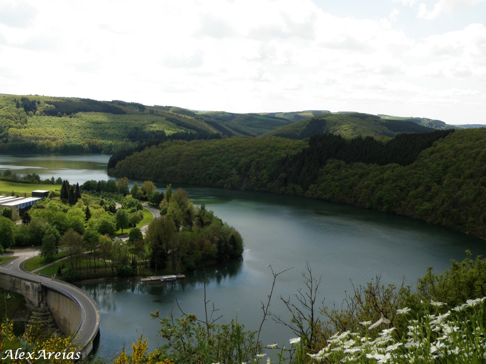 [P5014184'''.jpg]