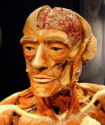 Gunther von Hagens