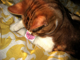 Les Merles Black Condoms Viet Sandwiches And New Yeah Yeah Yeahs