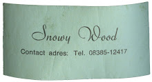 Snowy Wood