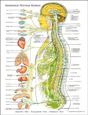 Turning 60 Consciously With Something to Say: DAY 72 - Warning