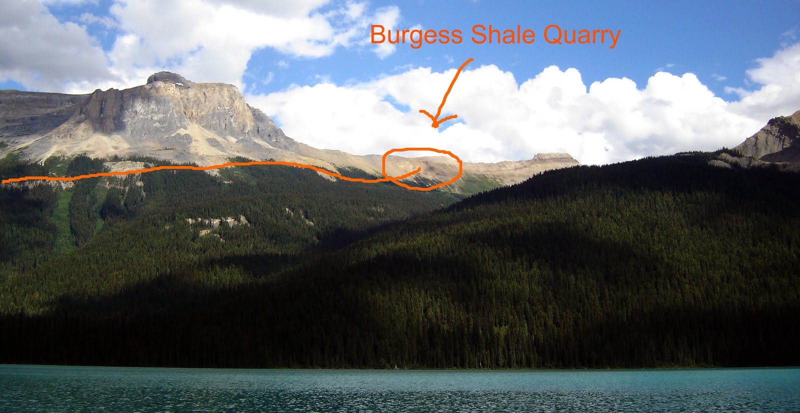 Sense and Simplicity The Burgess Shale Hike