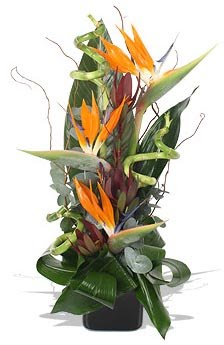 [ramo+de+flores2.bmp]