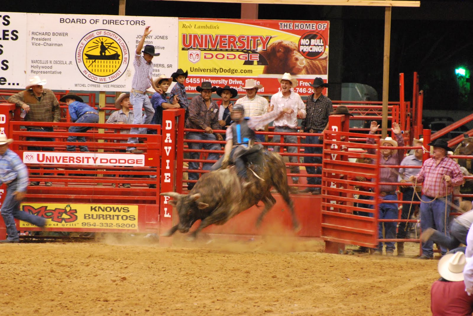 davie rodeo