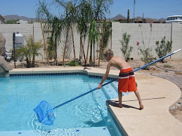 Pool boy