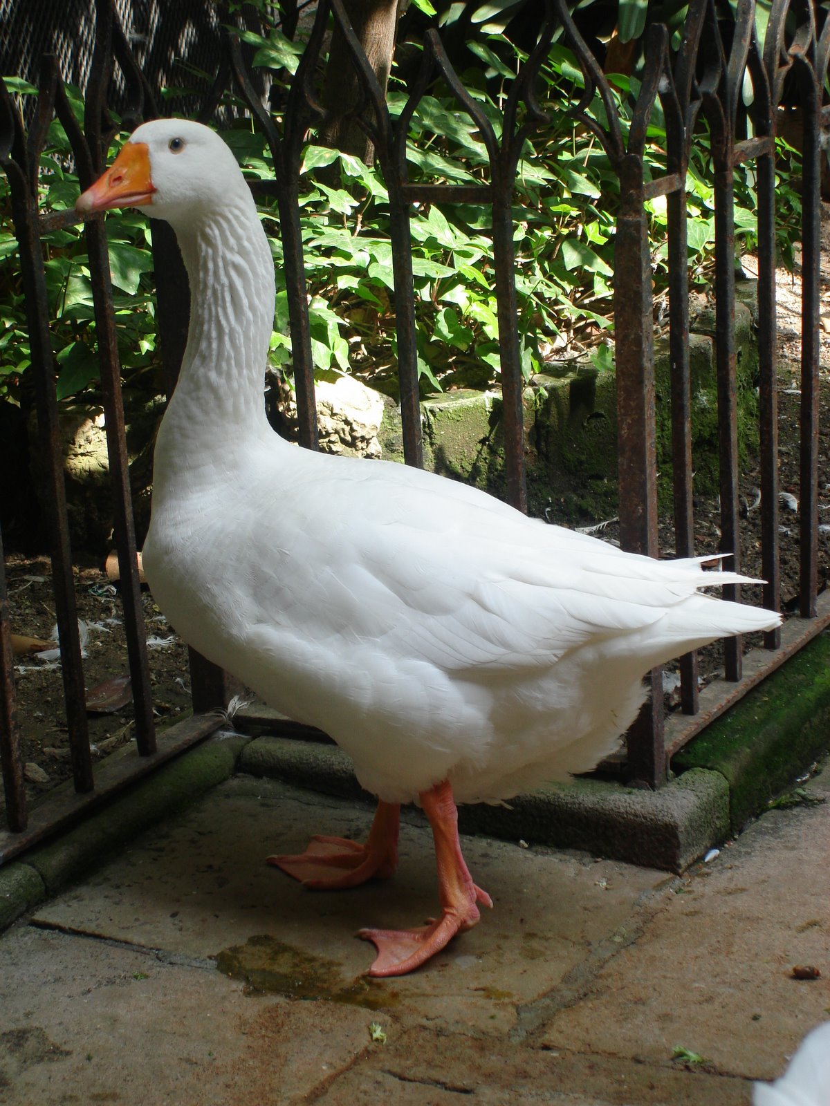 [DSC06366.JPG]
