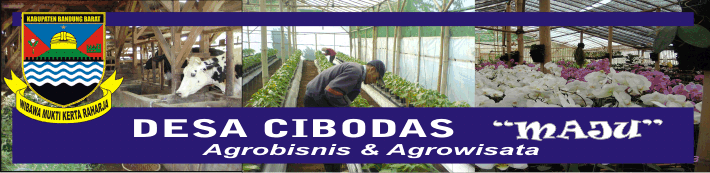 Desa Cibodas Maju