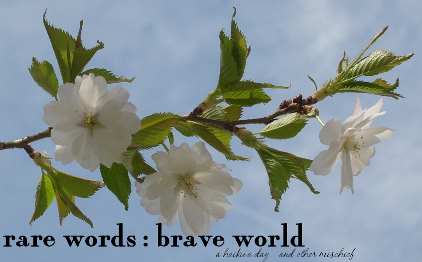 rare words:brave world