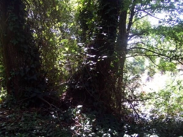 [DSCF1238.jpg]