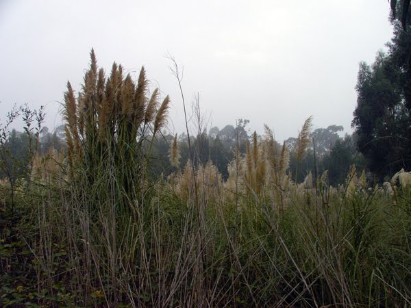 [IMAG0307.JPG]