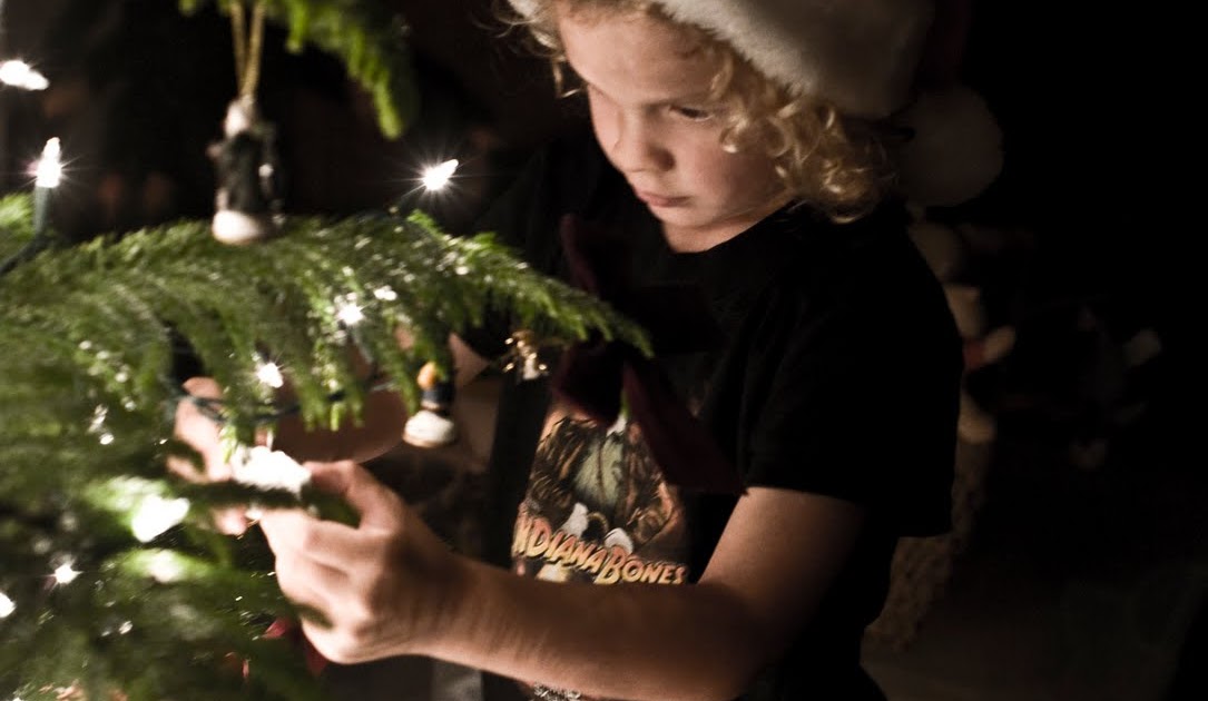 Trish Barker Photography Photography 101 How to get great Christmas