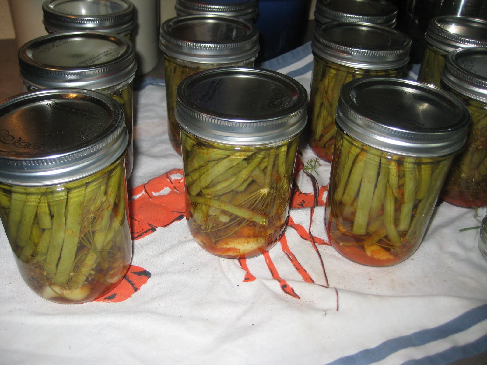 My Life as the canning wife Spicy Dilly Beans