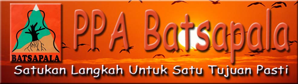 Batsapala Blog's