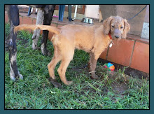 "CAUGHT IN THE ACT!!"