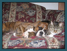 THEME...OPPOSITES ATTRACT