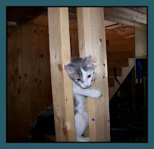 OVER...UNDER...THROUGH