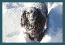 PLAYING IN THE SNOW/SAND