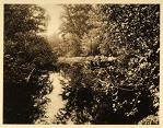 BRACEBRIDGE
