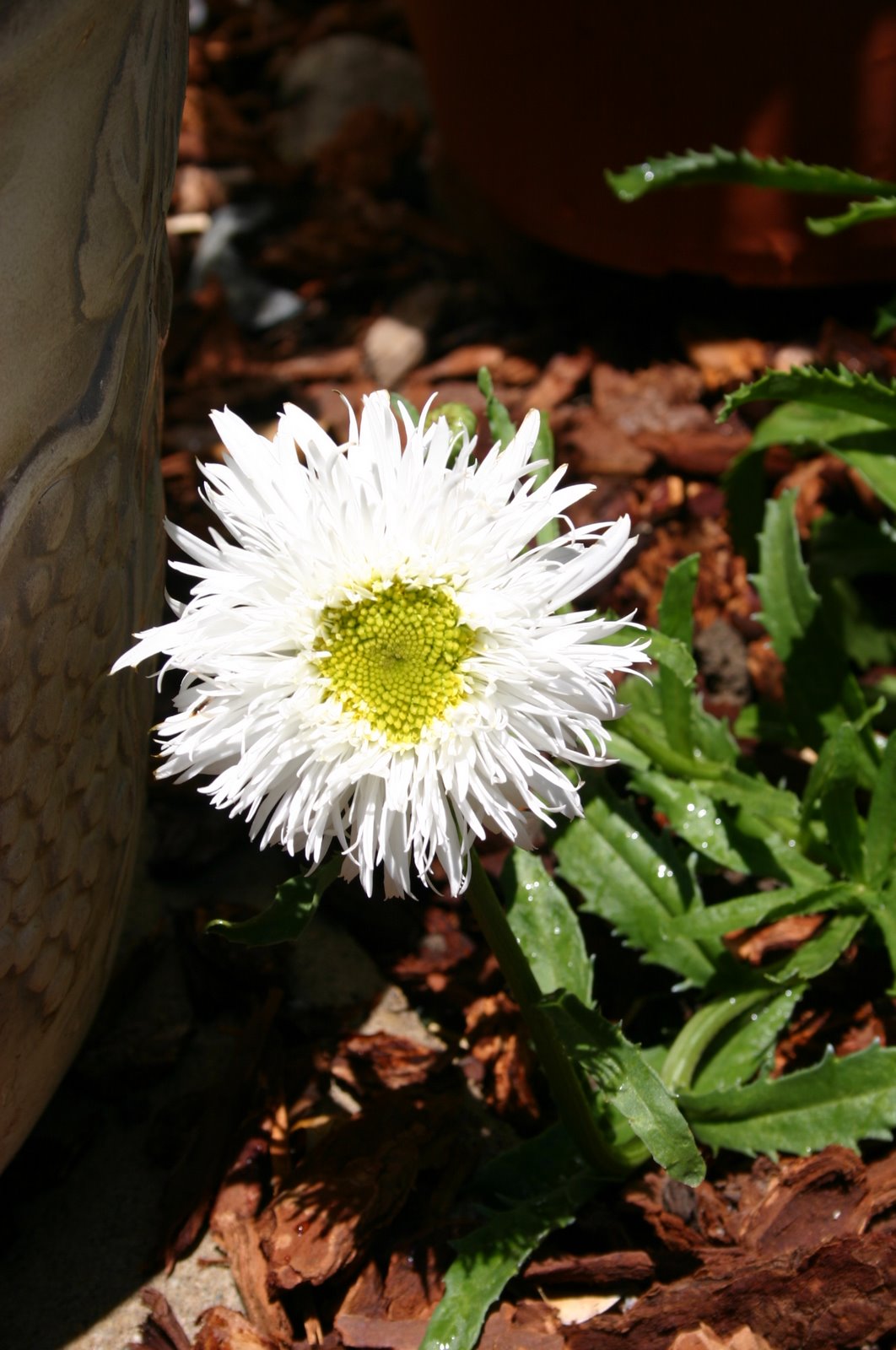 [IMG_0802.JPG]