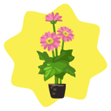 [f.png]