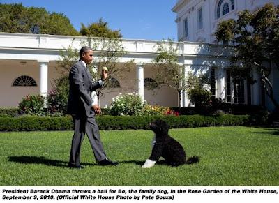 On The One Year Anniversary Of The Photo of the Day: My Ten Favorites White House