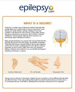 What is a seizure
